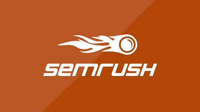 SEMrush Healthcare Industry Study