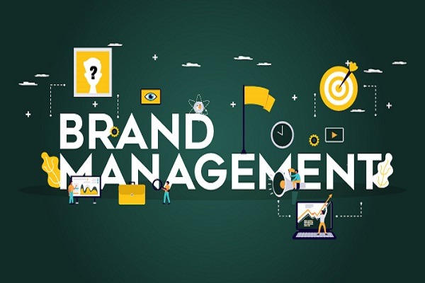 vai trò của Brand Management
