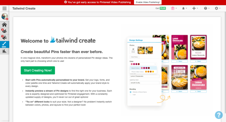 Trang tổng quan của Tailwind