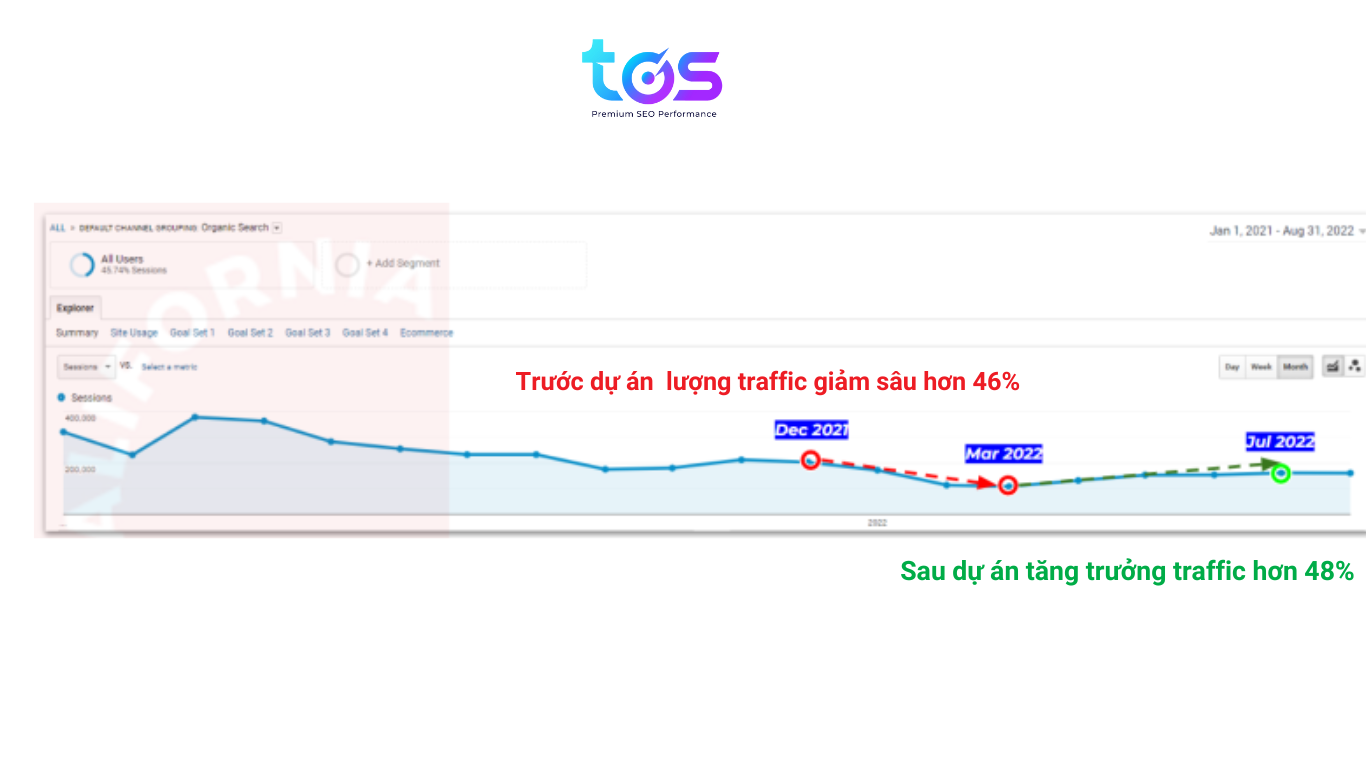 dự án 1 thực hiện dịch vụ SEO
