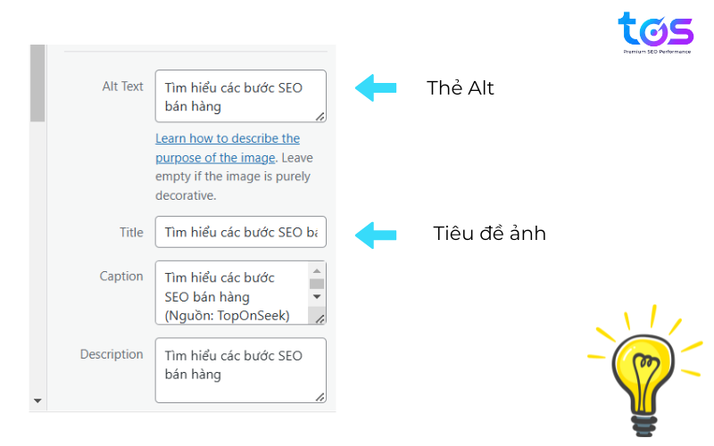 Vị trí đặt thẻ ALT khi thực hiện SEO website bán hàng