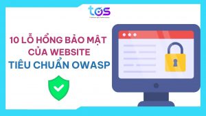 Các lỗ hổng bảo mật của website