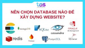 Nên chọn database nào để xây dựng website