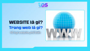 website là gì? trang web là gì
