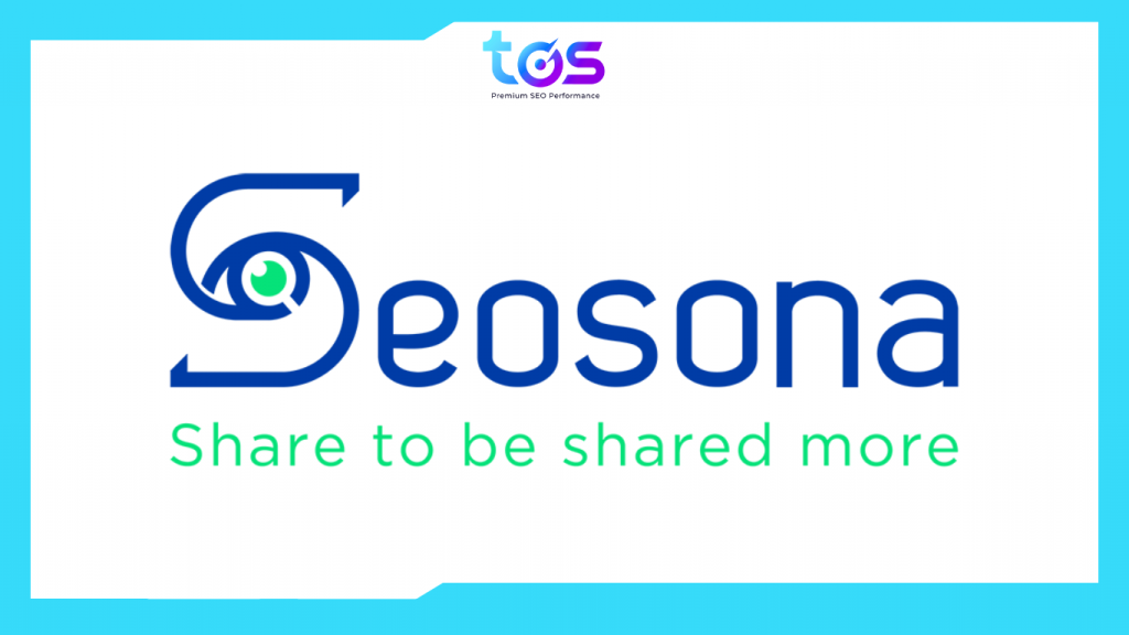 công ty seo agency uy tín seosona