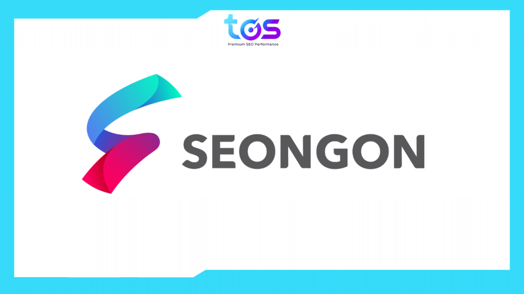 seo agency việt nam seongon