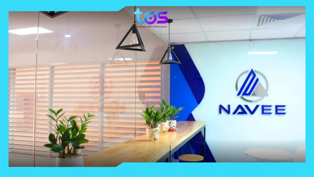 seo agency navee