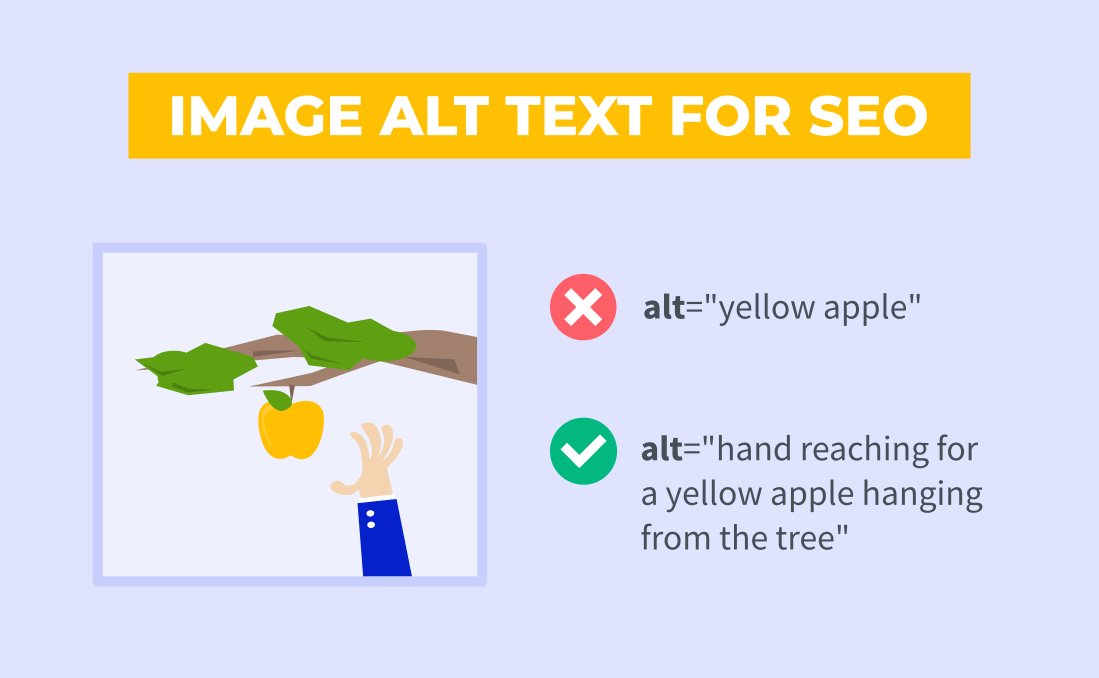 Nội dung alt text cần rõ ràng để đưa website lên top google