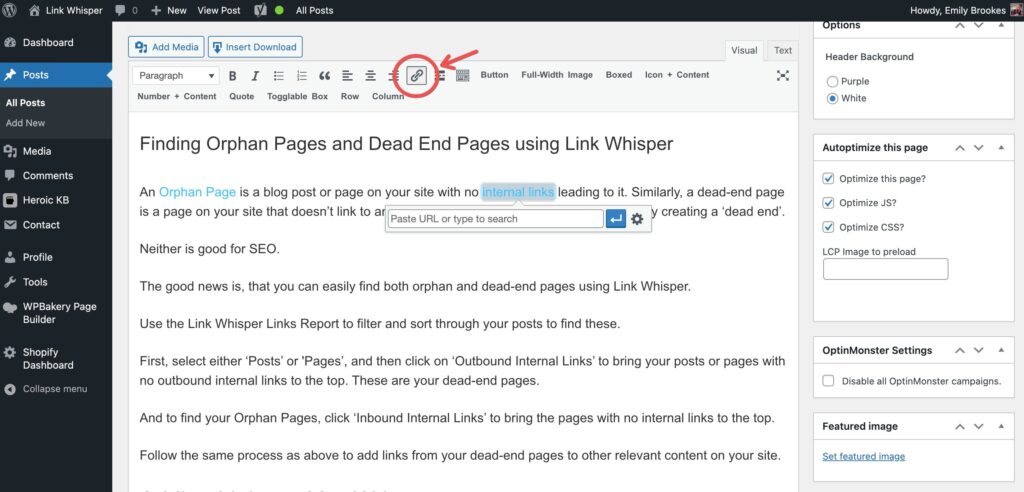 Sử dụng internaal link hỗ trợ đưa website lên top google