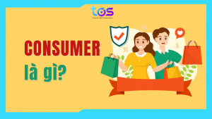 consumer là gì