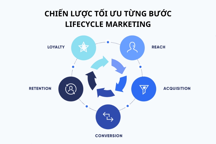 Chiến lược từng bước để tối ưu lifecycle marketing