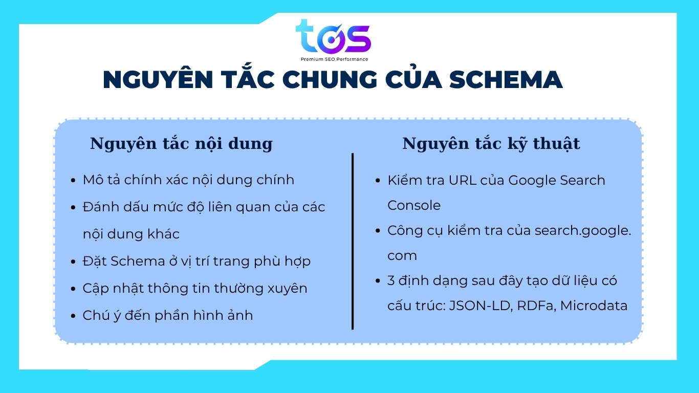 Các nguyên tắc chung của Schema (Nguồn: TOS)