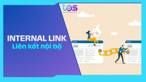 6 bước tạo Internal Link để tối ưu SEO