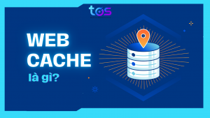 web cache là gì