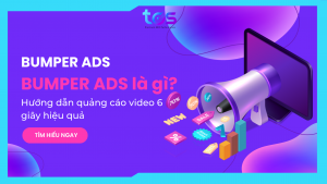 bumper ads​ là gì
