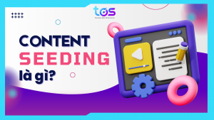Content seeding là gì