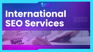 Professional International SEO Services in Vietnam | TOS