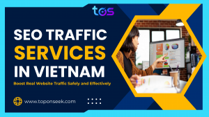 SEO Traffic Services in Vietnam