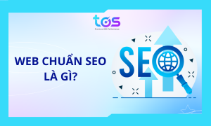 Website chuẩn SEO là gì?