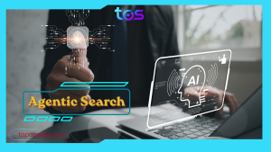 Agentic Search