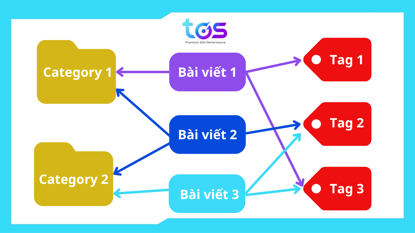 Category và tag khác nhau như thế nào?