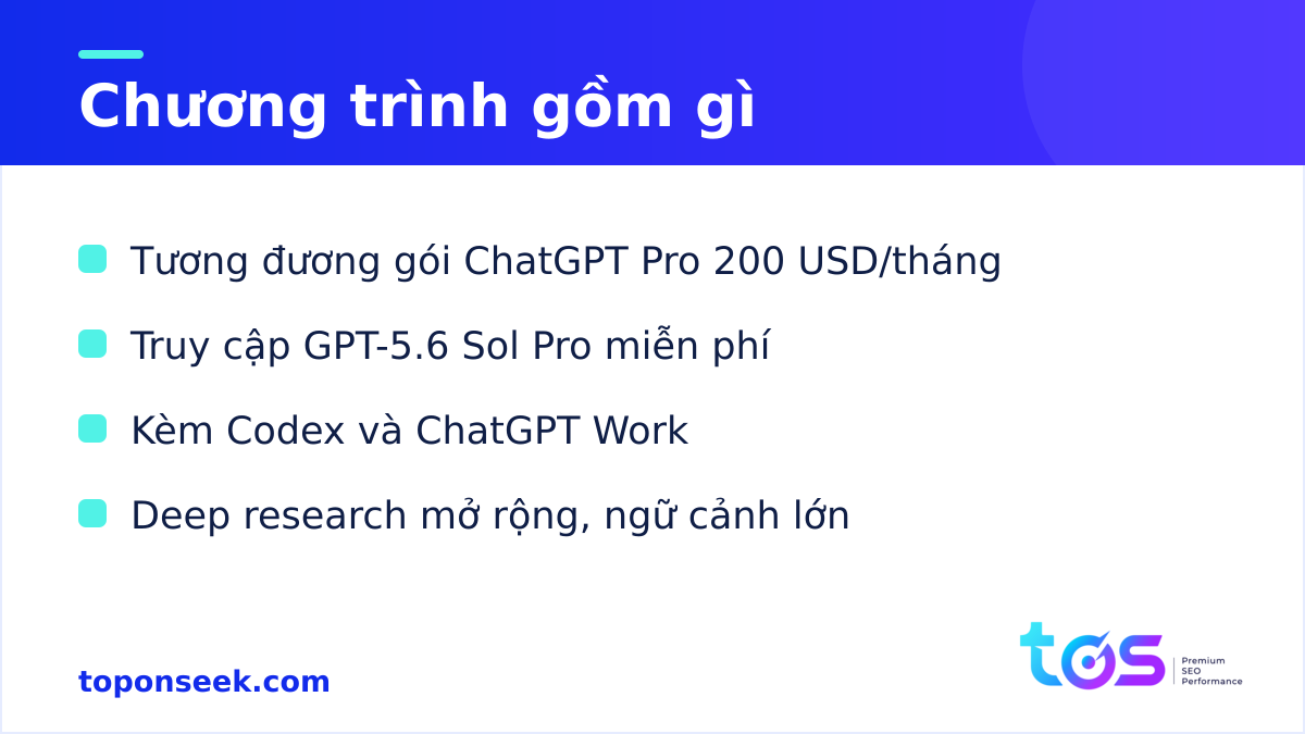 ChatGPT for Academic Researchers là gì - chương trình cung cấp những gì