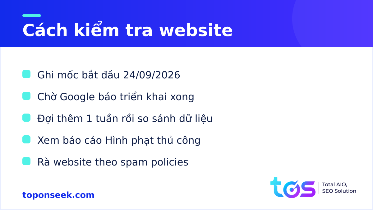 Google Spam Update tháng 9/2026: các bước kiểm tra website trong lúc Google triển khai